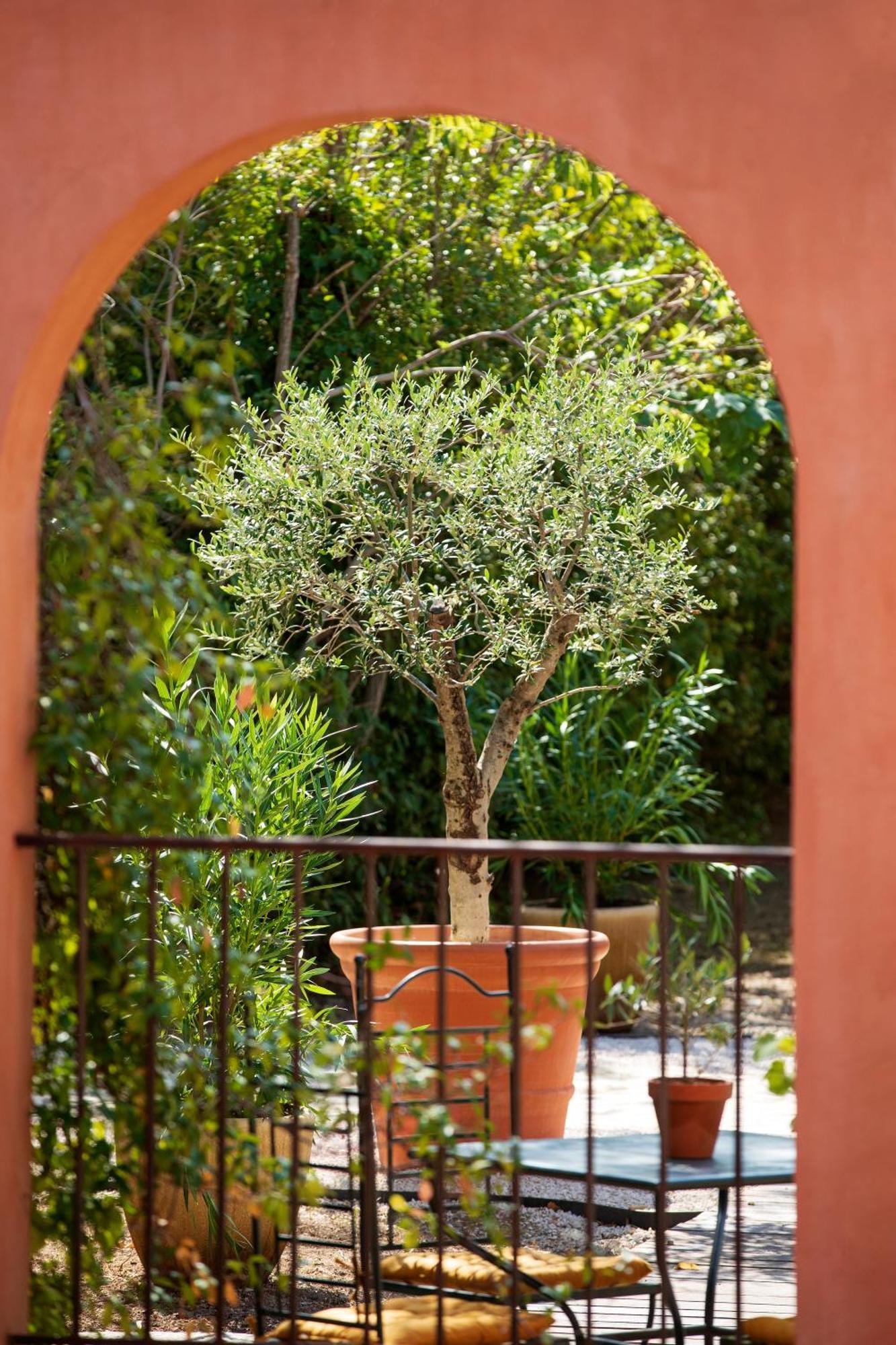 Hotel Le Pigonnet - Esprit De France Aix-en-Provence